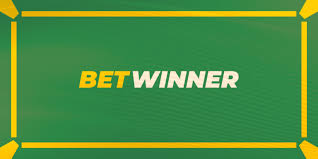 BetWinner DE Withdrawal Guide Everything You Need to Know