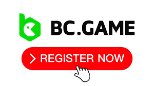 Discovering the Excitement of BCGame