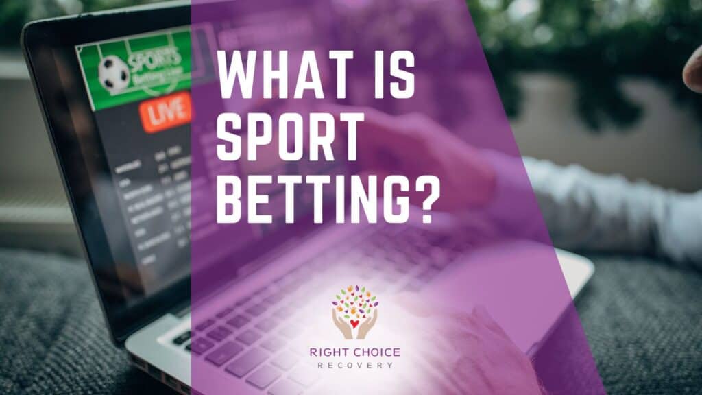 How to Spot Licensed Casinos 13