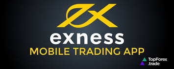 Understanding Exness Main Office A Comprehensive Guide